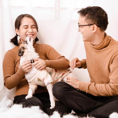 Information on pet insurance options available for families at Cornwall Animal Hospital in Oakville