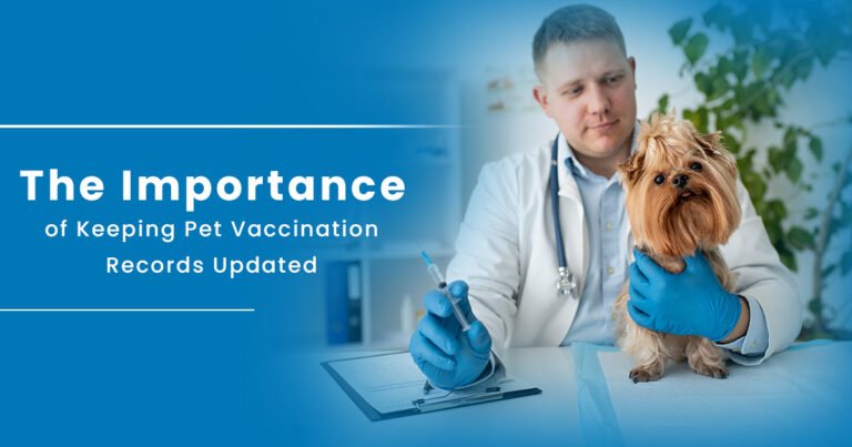 The Importance of Keeping Pet Vaccination Records Updated