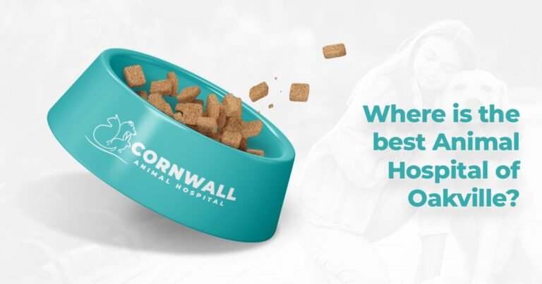 Where Is The Best Animal Hospital Of Oakville?