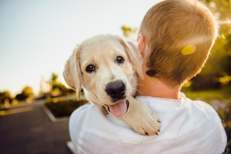 The Invisible Threat: Why You and Your Dog Need Protection from Ticks