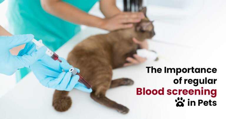 The Importance of regular Blood screening in Pets