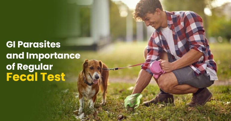 GI Parasites and Importance of Regular Fecal Test