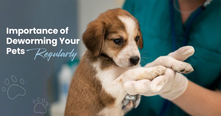 Importance of Deworming Your Pets Regularly
